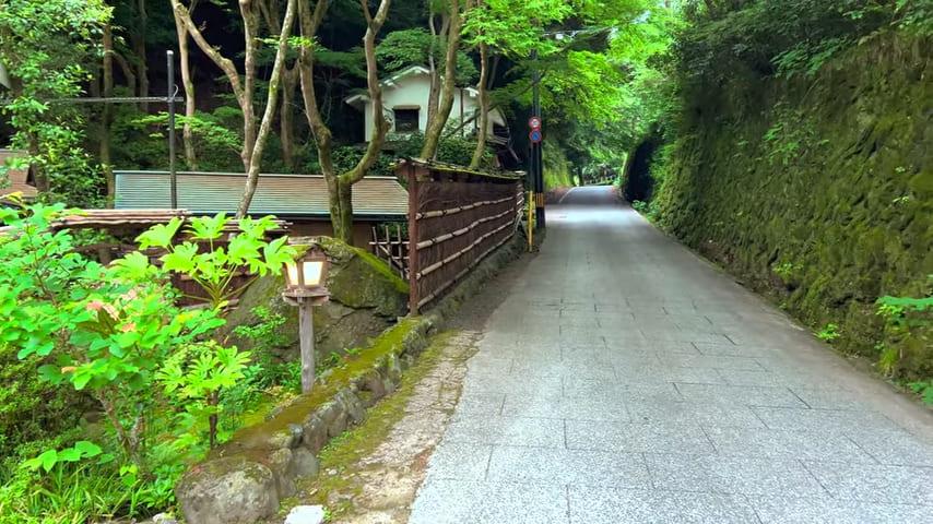 緑に挟まれた細い道