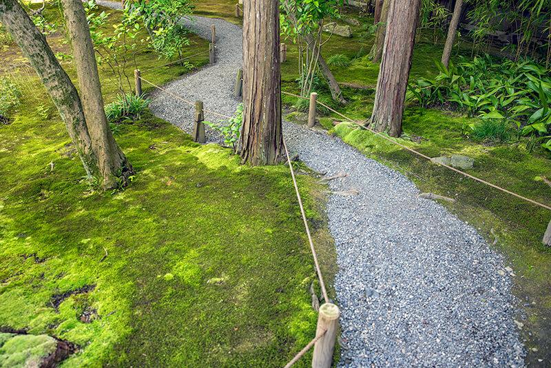 苔の上を通る細い砂利道